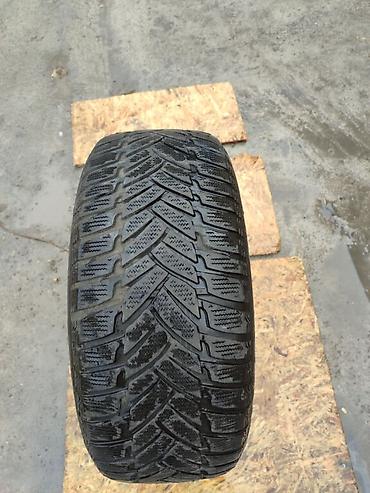 2255516: Шины 225 / 55 / R 16, Зима, Б/у, 1 шт, Легковые, Германия, Dunlop — 2