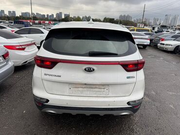 Kia: Kia Sportage: 2019 г., Кроссовер — 3