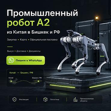 водитель робота: Доставка промышленного робота из Китая в Бишкек и РФ. Помощь с — 1