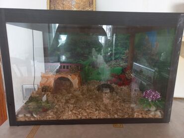 Akvariumlar: Dördbucaq akvarium, Boş, 15 l, Ünvandan götürmə