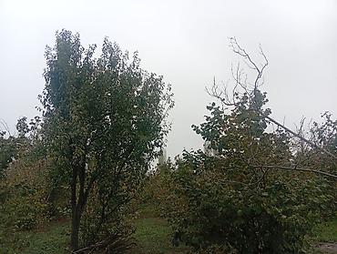 sumqayit 9 cu mikrorayon: 0.23 sot torpaq sahəsi satılır.Torpaq sahəsi əsas yoldan 100metr — 1