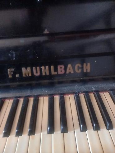 F. Muhlbach pianinosu – akustik upright model Xüsusiyyətlər: -