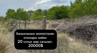 я ищу дом рабочий городок: 20 соток, Для сельского хозяйства, Красная книга