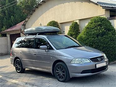 odyssey absolute: Honda Odyssey: 2003 г., 2.3 л, Автомат, Бензин, Универсал — 1