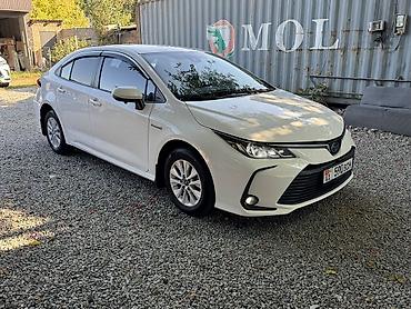 Toyota Corolla: 2021 г., 1.8 л, Вариатор, Гибрид, Седан at lalafo.kg Toyota Corolla: 2021 г., 1.8 л, Вариатор, Гибрид, Седан