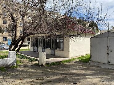 emlak az nzs: 13ce mk da yerləşir 55kv dır obyeltin sahibkarıdır Qiymətdə endirim — 2