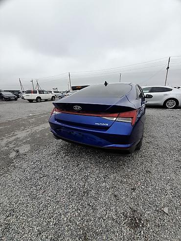 Hyundai: Hyundai Elantra: 2023 г., 1.6 л, Автомат, Гибрид, Седан — 3