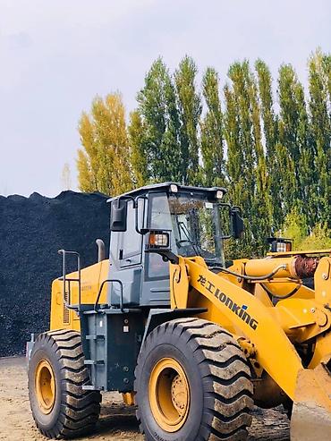 Автокраны: Автокран, Sany — 10