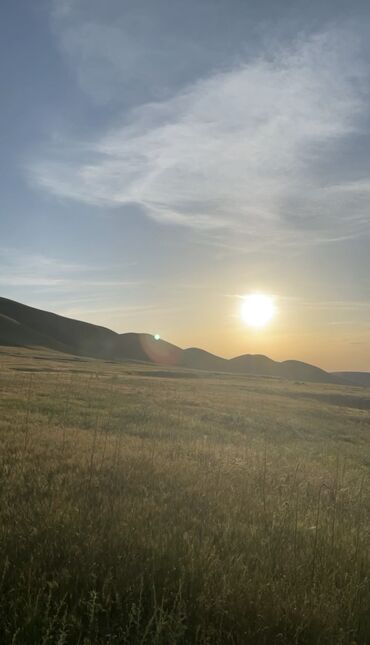 Сельхоз предприятия: Продаю Кошара, 50 соток, Действующий, Без оборудования, Электричество — 11