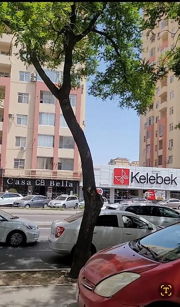 xirdalan ev kiraye: H.Zərdabi pr.-də 3 korona ilə üzbəüz zərzəmi icarəyə verilir — 5
