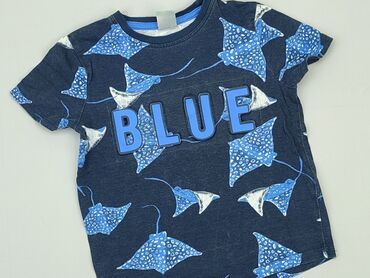 kurtki jesienne chłopięce: T-shirt, Little kids, 3-4 years, 98-104 cm, condition - Good