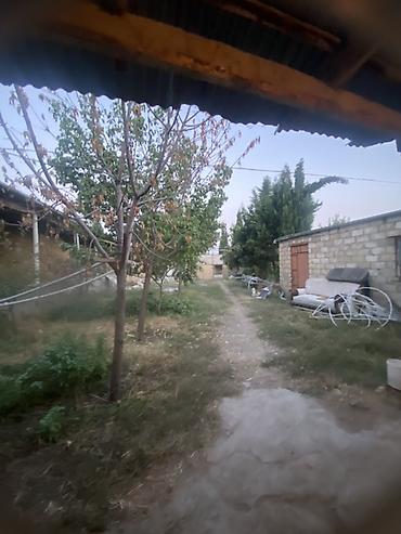 Продажа домов: 1 комната, 10 м² — 9