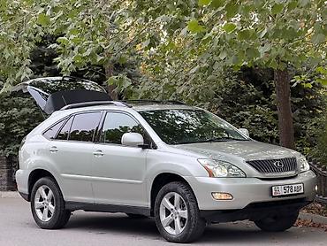 Lexus: Lexus RX: 2004 г., 3.3 л, Автомат, Бензин, Кроссовер — 2