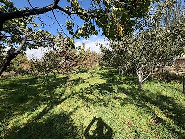 Продается дача 7 соток село Бостери верхняя дача вид на озера 2,5 км at lalafo.kg Продается дача 7 соток село Бостери верхняя дача вид на озера 2,5 км