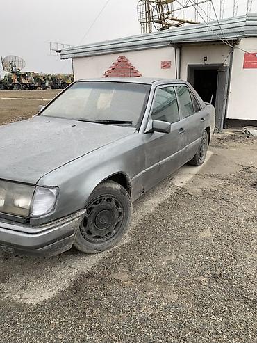Mercedes-Benz: Mercedes-Benz W124: 1992 г., 3 л, Механика, Дизель, Седан — 2