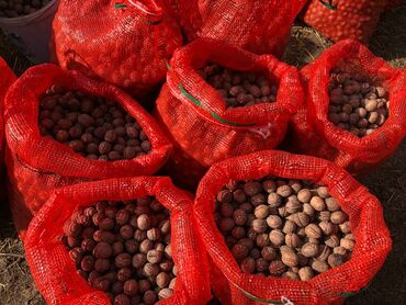 стол с регулировкой высоты бишкек: Грецкий орех, жангак 7-8мешок бар 100сом . Алма-атинский менен ылдый at lalafo.kg стол с регулировкой высоты бишкек: Грецкий орех, жангак 7-8мешок бар 100сом . Алма-атинский менен ылдый