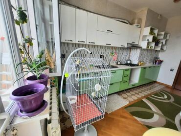 Uzunmüddətli kirayə mənzillər: Həzi Aslanov metrosuna yaxin Qədir Məmmədov kucesində 13 mertebeli — 13