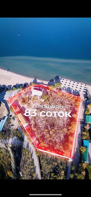 чолп: 83 соток, Бизнес үчүн, Кызыл китеп — 5