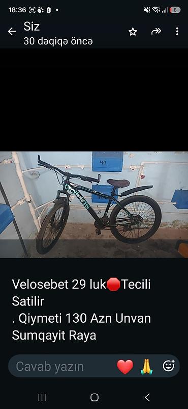 adidas velo: Velosiped – 29” təkər ölçüsü, şəhər və yüngül ofroud üçün uyğundur. Ön — 1