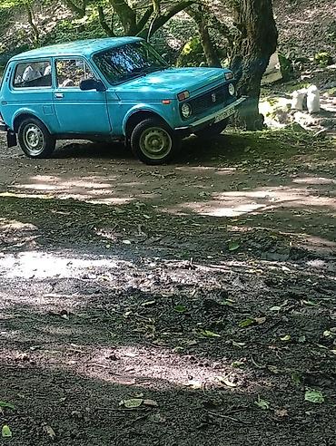 torpaqla barter maşınlar: VAZ (LADA) 4x4 Niva: 1.7 l | 1995 il 230000 km Ofrouder/SUV — 5