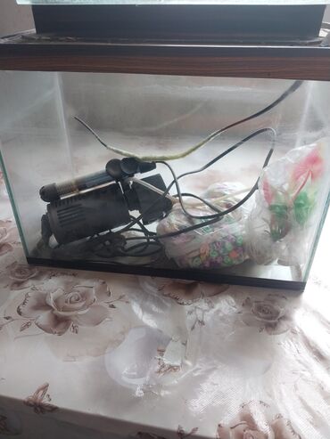 Akvariumlar: Su qızdırıcısı,aparatı rəngli daşları hamısı üstündə balıqsız 15