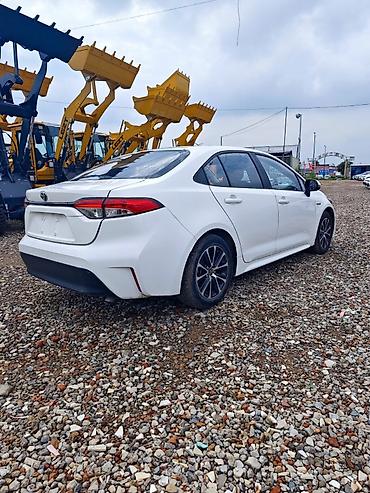 levin corolla: Toyota Corolla: 2023 г., 1.8 л, Вариатор, Гибрид, Седан — 2