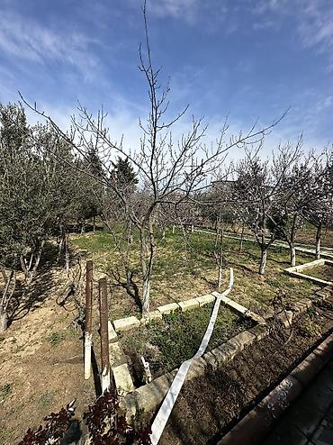 goradil: 12 sot, Tikinti, Maklerlər narahat etməsin, Texniki pasport — 4