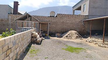 ucuz evlet: Biznes üçün, Kupça (Çıxarış) — 7