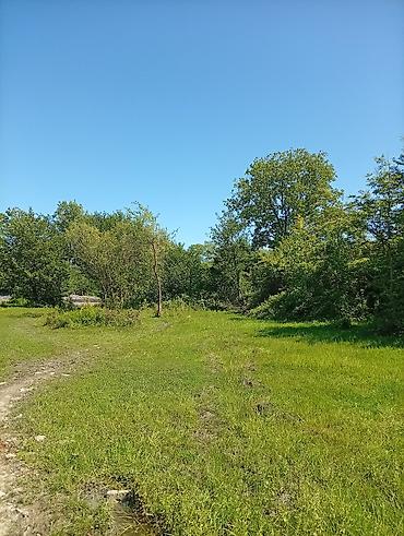 mehemmedi torpaq: 38 sot, Mülkiyyətçi, Kupça (Çıxarış) — 8