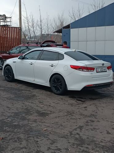 Kia: Kia K5: 2016 г., 2 л, Автомат, Газ, Седан — 4