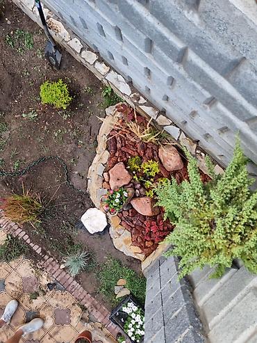 Дизайн, проектирование: Ландшафтный дизайн авто полив водопады пруды водоемы ручьи посев — 6