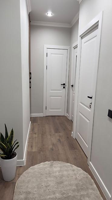 2 комнаты, 41 м², Физприборы Элитка, 4 этаж, Евроремонт at lalafo.kg 2 комнаты, 41 м², Физприборы Элитка, 4 этаж, Евроремонт