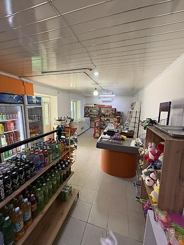 Торговля: Продается готовый бизнес полностью с товаромРЕАЛЬНОМУ ПОКУПАТЕЛЮ — 2