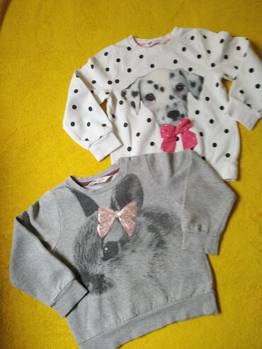 zimske nepromocive cipele: H&M, Round neck, Long sleeve, Animals, 104-110