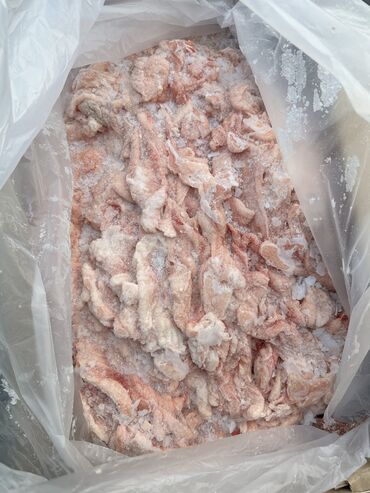 разведение рыб: Реализуем куриную продукцию МДМ(мясо механической обвалки) Окорочка