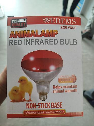 candella pro u: Yeni, İnfraqırmızı lampa, Zəmanətsiz, Pulsuz çatdırılma — 1