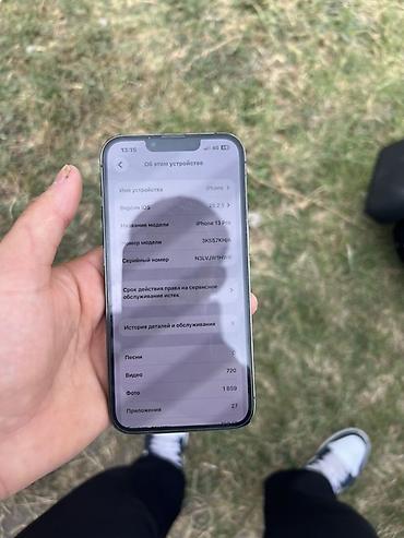 s25 plus: IPhone 13 Pro, Б/у, 128 ГБ, Alpine Green, Чехол, 79 % — 8