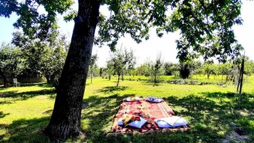 Bağ evlərinin satışı: Qəbələ, 170 kv. m, 6 otaqlı, Qaz, İşıq, Su — 15