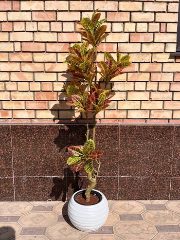 Декоративные цветы: Искусственные деревья и цветы — долговечный и стильный декор без — 10