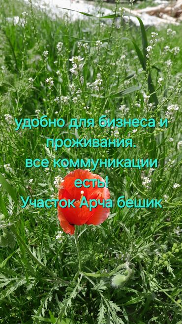 земельный участок военно антоновка: 2 соток, Красная книга, Тех паспорт