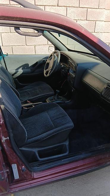 блок пасат: Volkswagen Passat: 1989 г., 1.8 л, Механика, Бензин, Универсал — 3