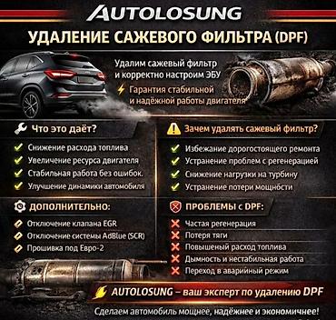 Автоуслуги: Удаление AdBlue (SCR) и сажевого фильтра DPF + профессиональная — 2