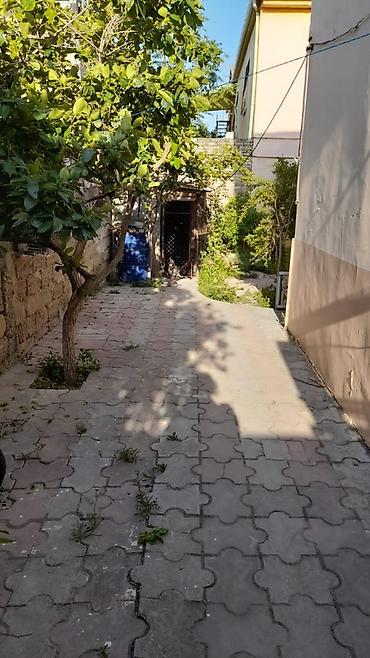 Həyət evləri və villaların satışı: 7 otaqlı, 270 kv. m, Kredit yoxdur, Yeni təmirli — 11