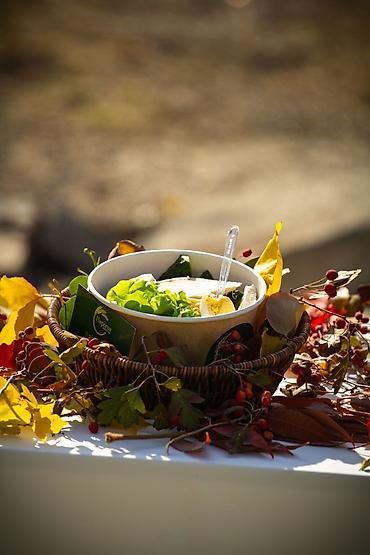 Фото- и видеосъёмка: Фотосъёмка, Видеосъемка | Студия, С выездом | Съемки мероприятий, Love story, Видео портреты — 17