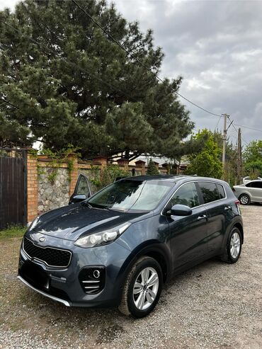 Kia: Kia Sportage: 2016 г., 2.4 л, Автомат, Бензин, Внедорожник