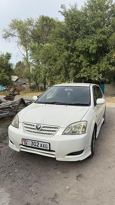авто фрион: Toyota Allex: 2003 г., 1.5 л, Автомат, Бензин, Хэтчбэк — 2