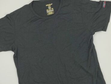 T-shirts: T-shirt for men, L (EU 40), condition - Good