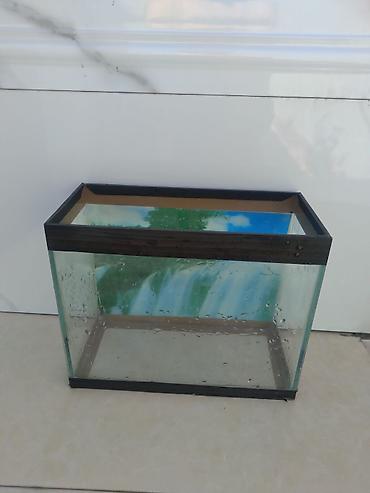 akvarium aksesuarlari: Baliqlar űçűn akvarium — 1