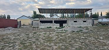 кепер арык: 15 соток, Курулуш, Кызыл китеп, Сатып алуу-сатуу келишими — 7