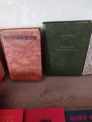 Bədii ədəbiyyat: Rus dilində klassik ədəbiyyat və poeziya üzrə böyük kitab toplusu — 10
